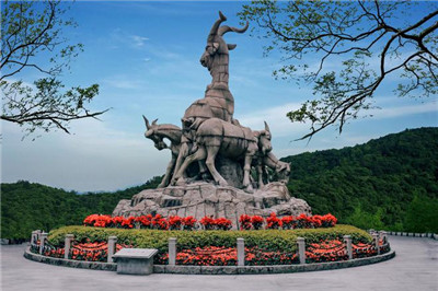 深圳坪山区全套服务简介